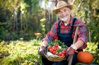 DEVOLUCIÓN DEL GASÓLEO EMPLEADO EN AGRICULTURA Y GANADERÍA. - ASESORÍA OFIGEM