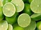MODELO CONTRATO LIMONES PARA TRANSFORMACIÓN 2016-2017 - ASESORÍA OFIGEM